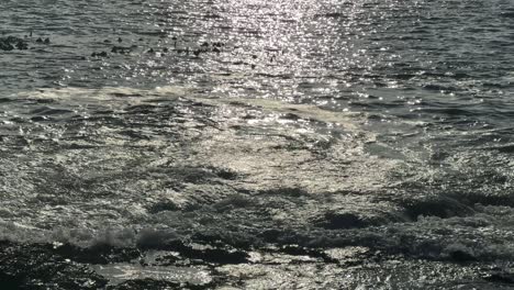 sun kissed atlantic ocean, shimmers in the late afternoon light of sea point’s sun in cape town, south africa.