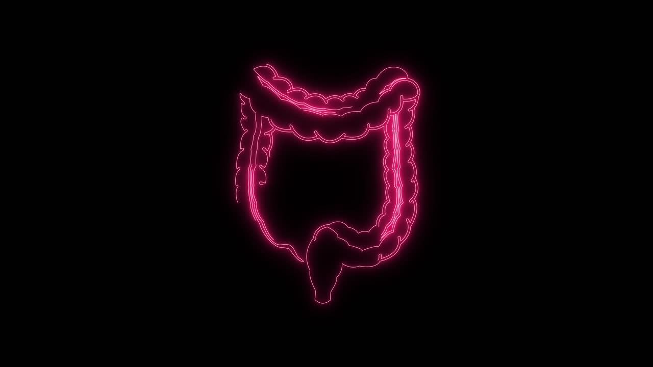 Human Large Intestine Neon Outline Animation
