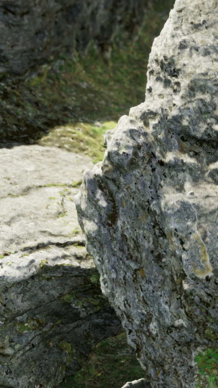 Rocce e muschio in un ambiente naturale durante il giorno, in un'area del parco.