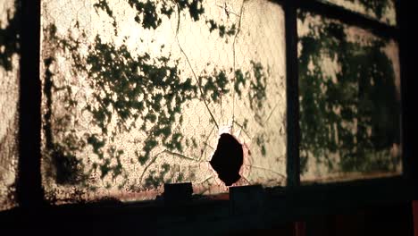 ventana rota en un edificio abandonado, ambiente sucio y descuidado, lugar de horror de video hd