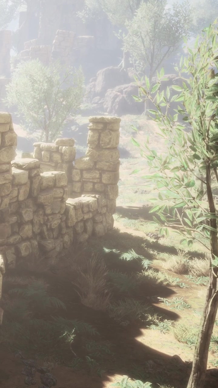 Antiguas ruinas de piedra y plantas verdes bajo la luz del sol en un entorno al aire libre