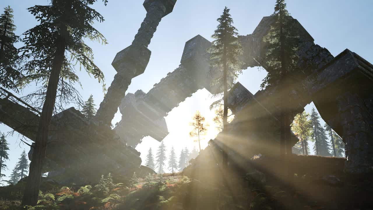 ufo가 숲에 추락했습니다.