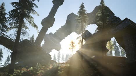 ufo crashed in the forest