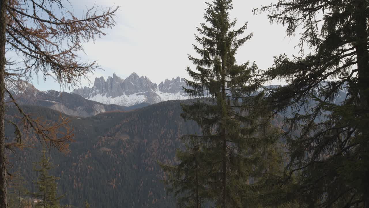 en medio de la naturaleza con grandes árboles en otoño otoño en italia
