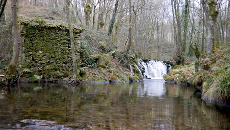 cascada natural que fluye a través de la naturaleza verde salvaje en el río niñodaguia, españa
