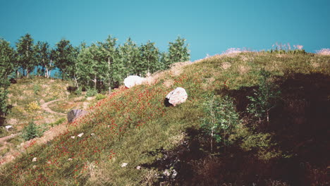 idyllic landscape in the alps with fresh green meadows and blooming flowers