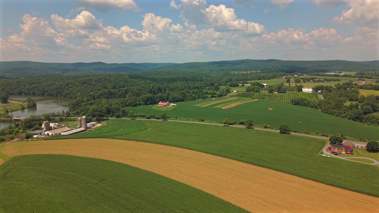 High aerial shot over green rolling farmland fields and countryside landscape on a sunny day