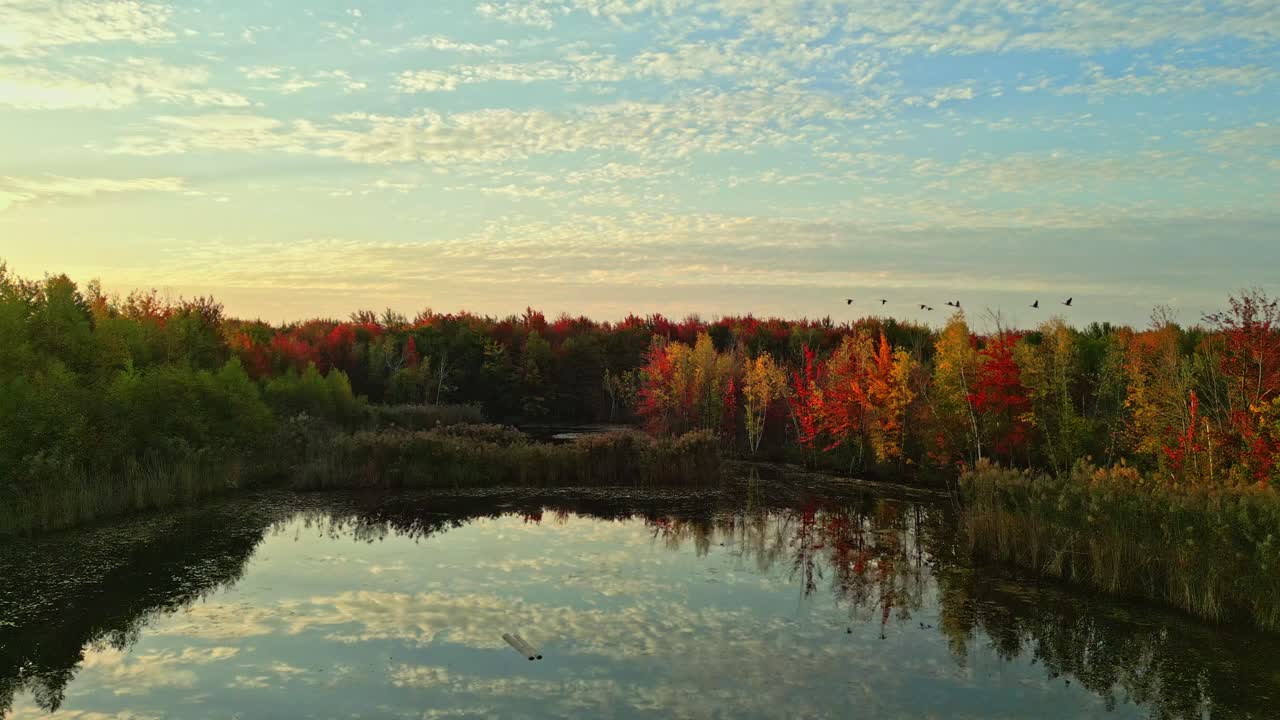 Smooth upward aerial movement on a serene lake with colorful autumn foliage, North America, Quebec, Montreal, Canada.