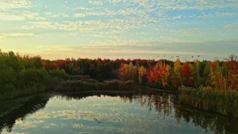smooth upward aerial movement on a serene lake with colorful autumn foliage, north america, quebec, montreal, canada.