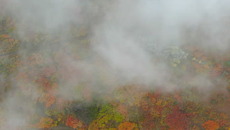 Unique-birds-eye-view-foggy-cloudy-Colorful-Colorado-aerial-cinematic-drone-San-Juans-Range-Ridgway-Mount-Sniffels-Wilderness-Million-Dollar-Highway-Dallas-Range-autumn-fall-backward-motion