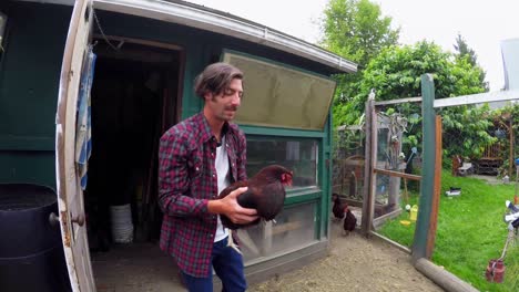 farmer playing with hen in hen house 4k