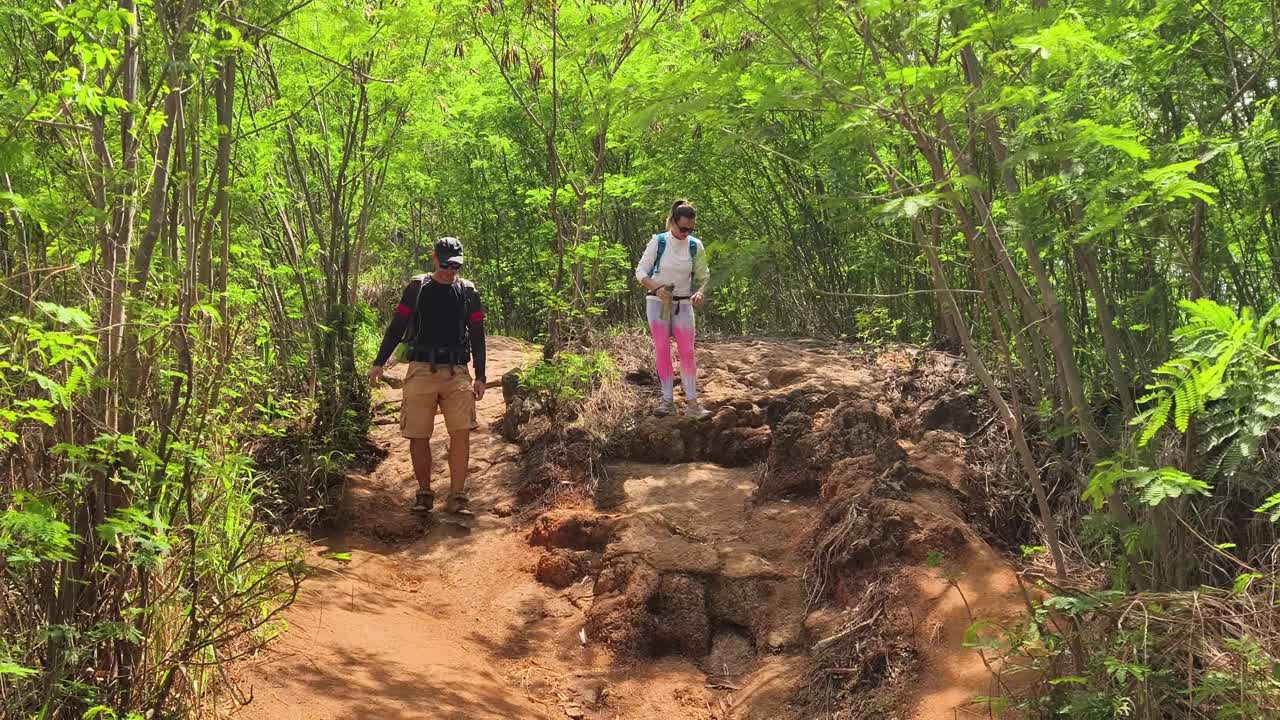 산길 에 있는 산책자 들