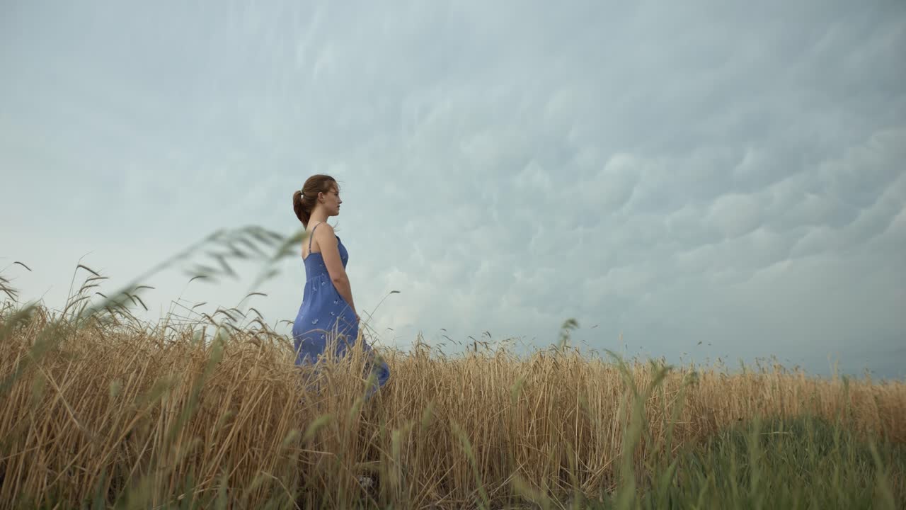 A young woman wearing a blue dress in the distance in wheat field landscape watching storm clouds move in.
