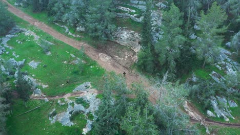 un hombre corriendo en un bosque urbano israelí