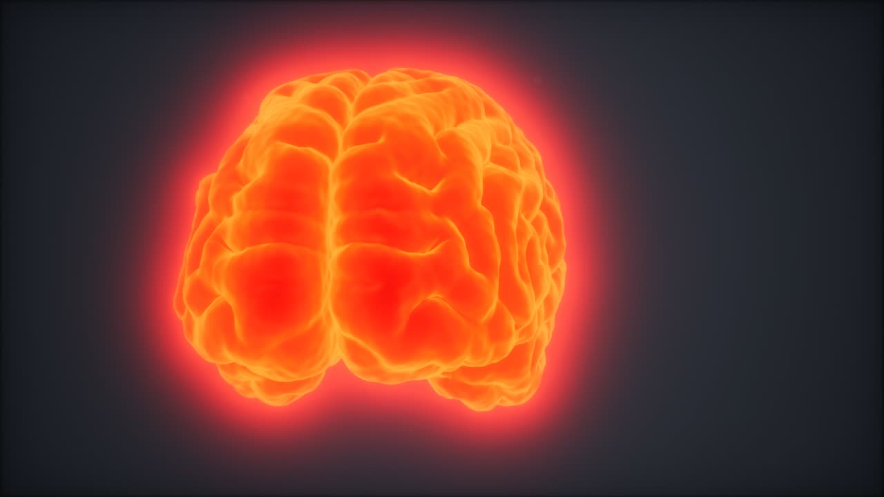 인간 뇌를 회전시키는 루프 애니메이션