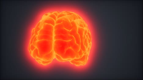 loop rotating human brain animation