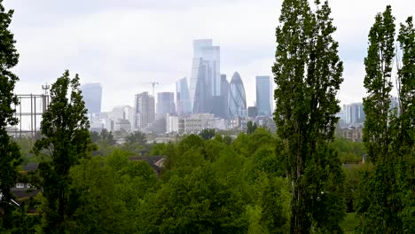 la vista del centro de londres desde el parque ecológico de stave hill