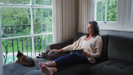 Happy-senior-caucasian-woman-using-headphones-and-tablet-for-video-call,-talking-and-stroking-cat