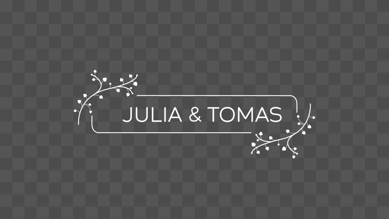 Title 04
Adobe Premiere Pro 2023
Resolution 3840×2160