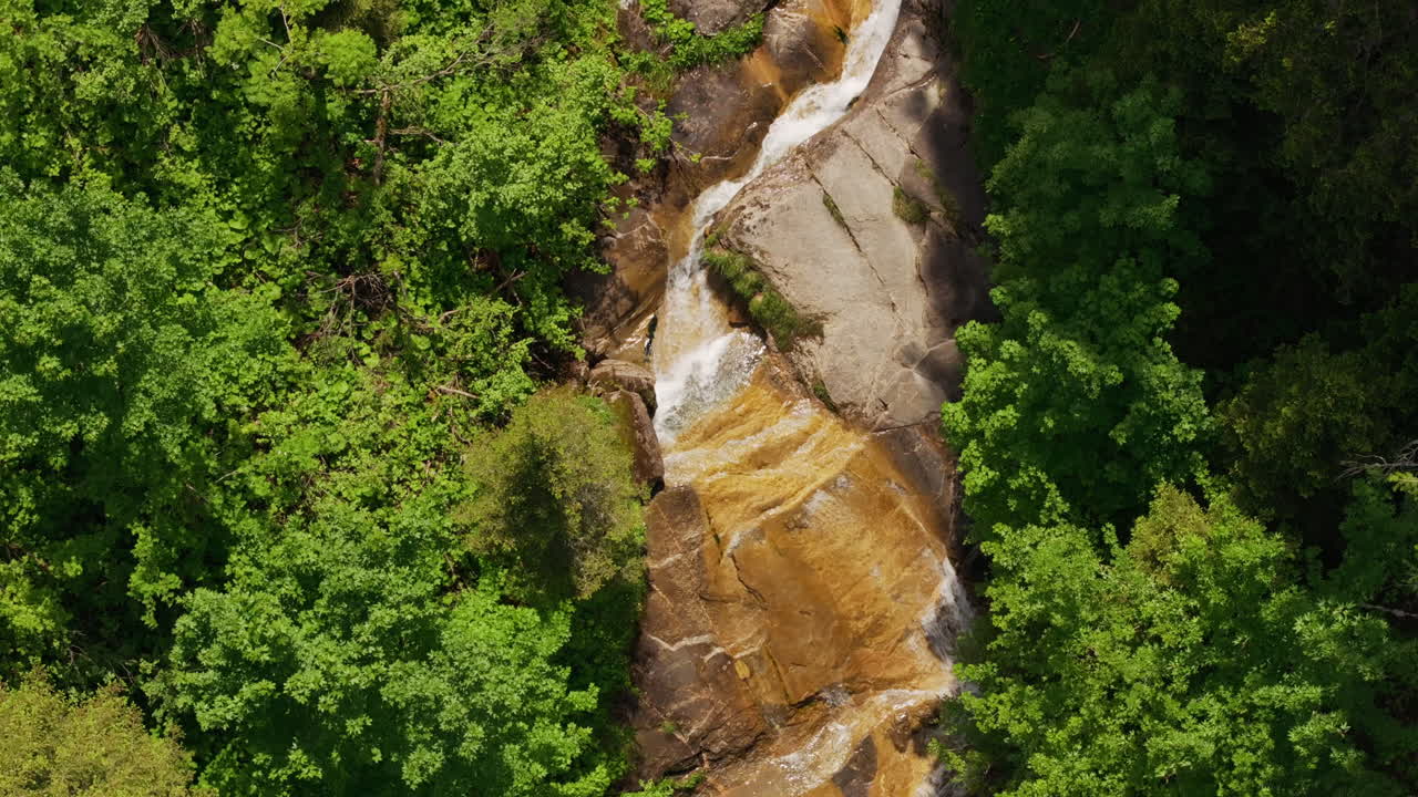 aerial de un pequeño arroyo de montaña rodeado por un bosque verde