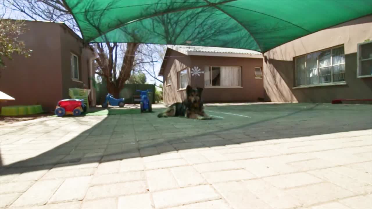 강아지의 낮은 각도