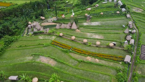 aerial : maha gannga valley in bali-indonesia, a camp ground glamping agrotourism inn featuring eco huts, mountain views to agung volcano, rice terraces, palm tree jungles,waterfal and photo spots