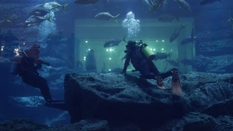 Aquarium,-Leben-Im-Meer,-Fisch,-Ozean,-Wasser,-Unterwasser,-Aquarien,-Dubai-Mall,-Tourismus