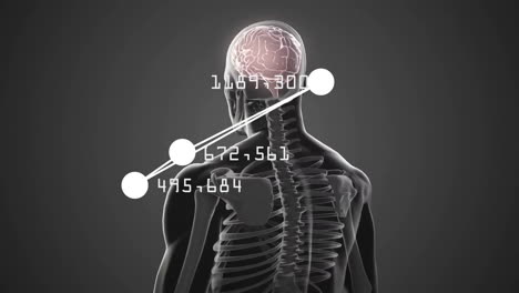 animation of human brain and body with mathematical data processing on grey background