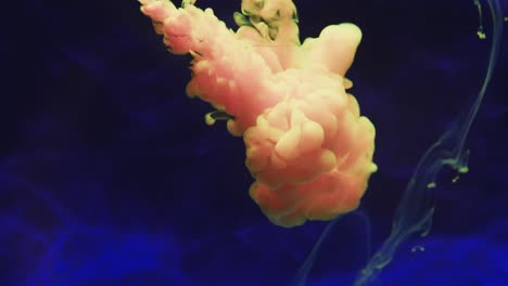 video en cámara lenta de tinta de acuarela rosa y amarilla mezclándose en agua contra un fondo azul