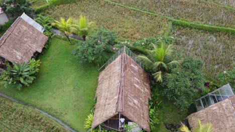 row of thatched bungalows in hut style amid rural nature and rice fields, aerial