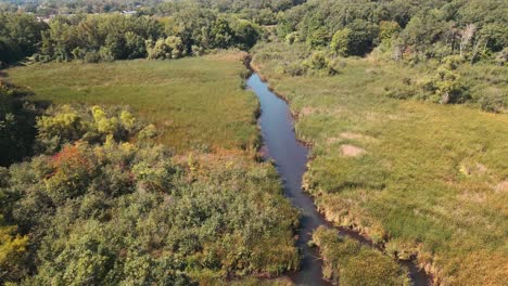 Hidden-marshland-in-Muskegon,-MI