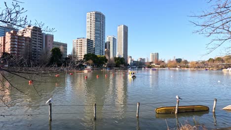 kayaker paddling through river with city backdrop