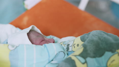 newborn baby in hospital