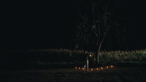 mysterious night scene with a lone figure and lights in a field
