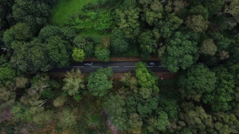 Aerial-view---tree-canopy-almost-overgrows-country-road-with-cars-driving