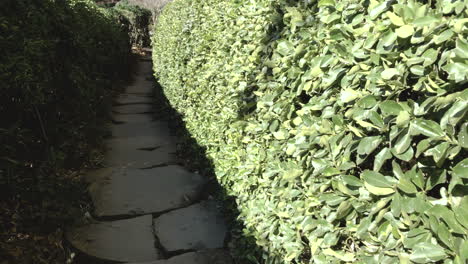 Slo-mo-pov-of-stone-path-with-surrounding-green-hedge-foliage,-Ju-Raku-En-Japanese-Garden,-Toowoomba,-Australia