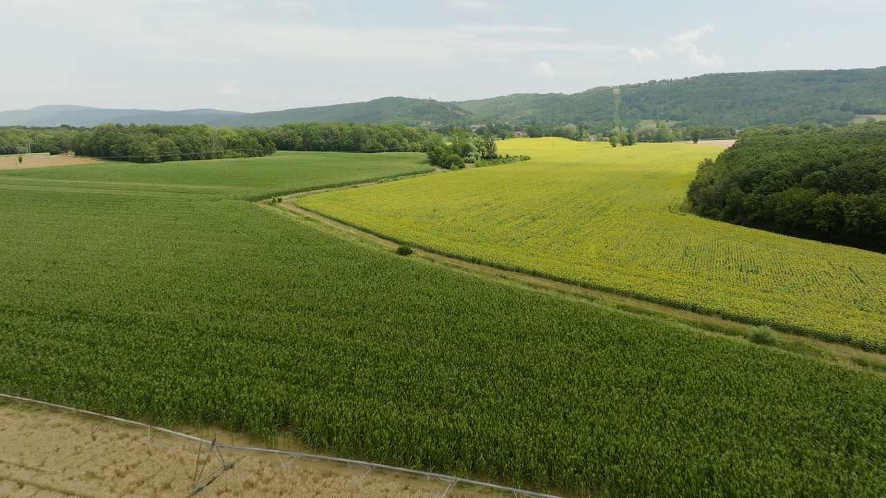 East France Crop Fields Farm Summer Aerial View Sunflowers Hills Village