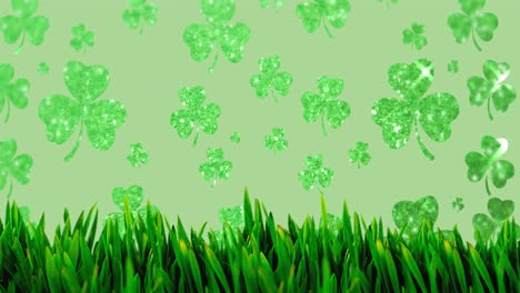 Animation-of-clovers-and-grass-on-green-background