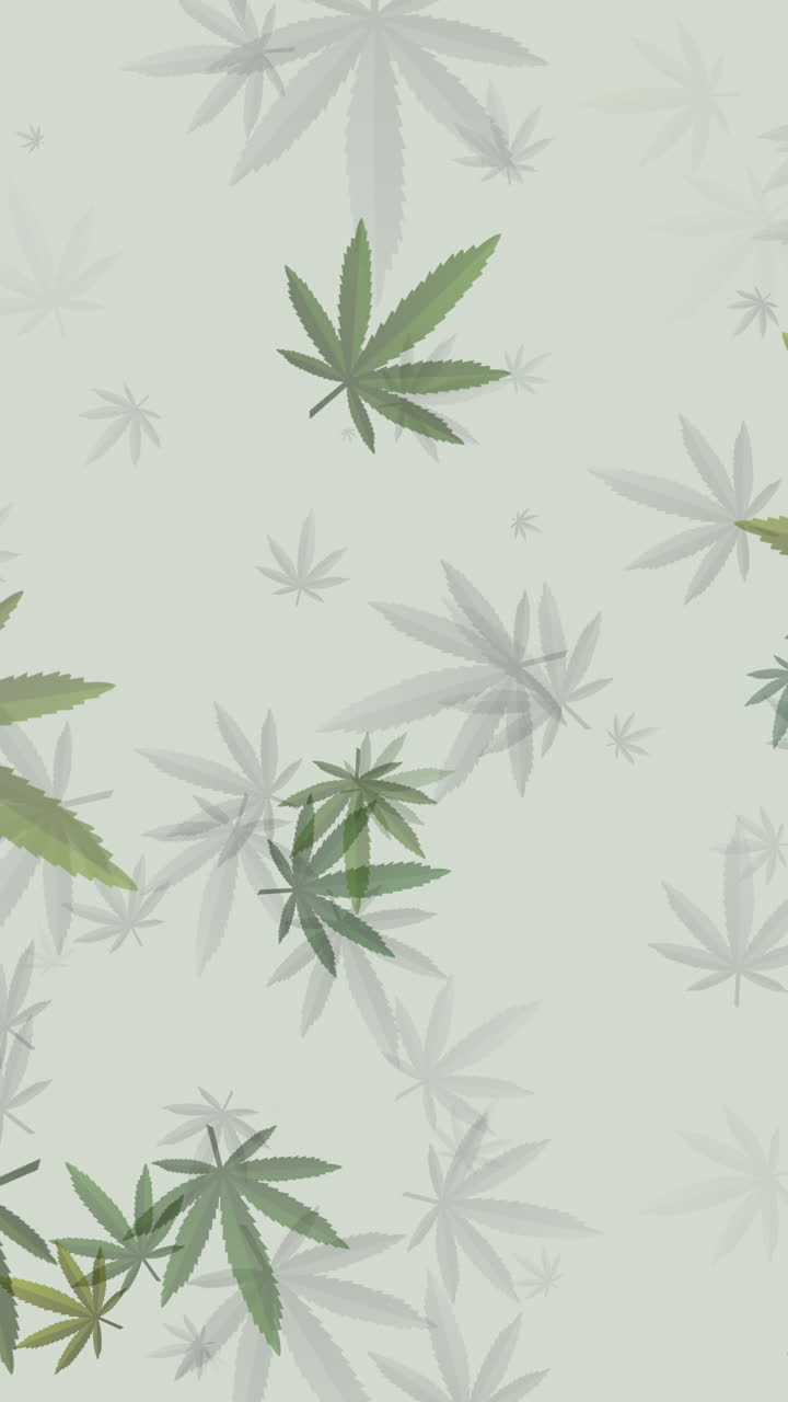 Loop animation pattern of green cannabis leaves on a light background. Vertical video.
