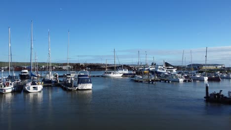 Drone-flying-through-marina-and-boat-harbour-with-seagulls-on-coast