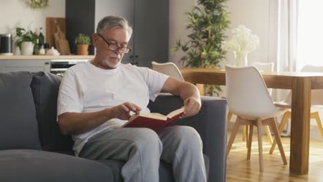 Senior caucasian man reading book and lying at the couch.