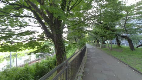 tokyo sotobori park early morning 2022