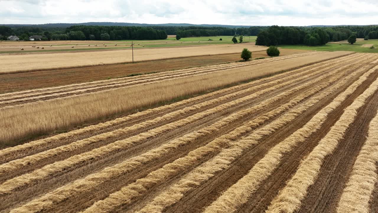 Experience the serenity of straw bales seen through the drone's lens