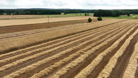 Erleben-Sie-Die-Ruhe-Von-Strohballen,-Die-Sie-Durch-Die-Linse-Der-Drohne-Sehen