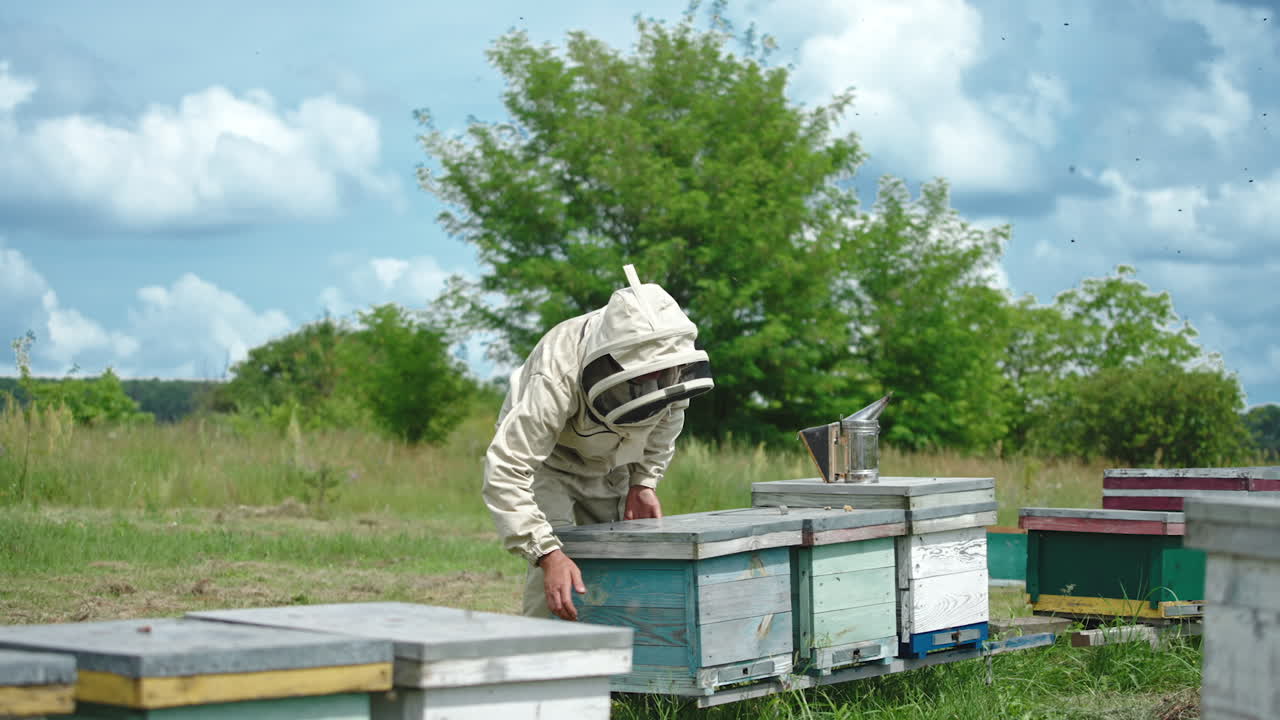 Male apiarist working on his bee farm located in the nature. Man in special outfit opening the lids of beehives. Lots of bees flying around.