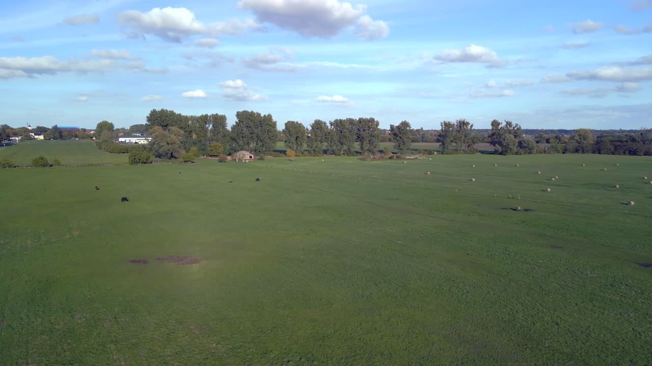 브란덴부르크의 말 목초지 위에 하늘 흰 구름