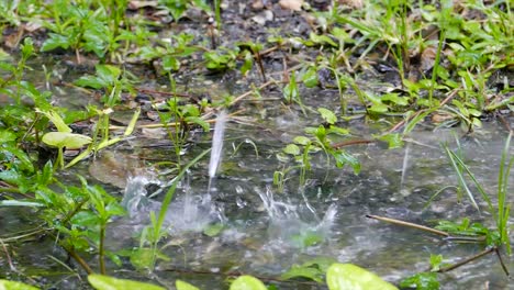 heavy rain on water shooting with high speed camera