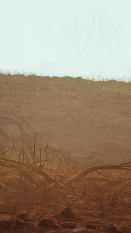 foggy desert landscape