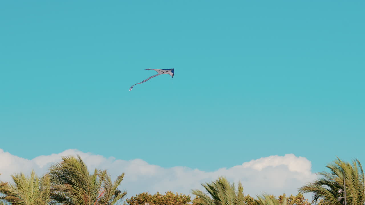 A colorful kite soars above palm trees under a bright blue sky on a windy afternoon in Cannes, France