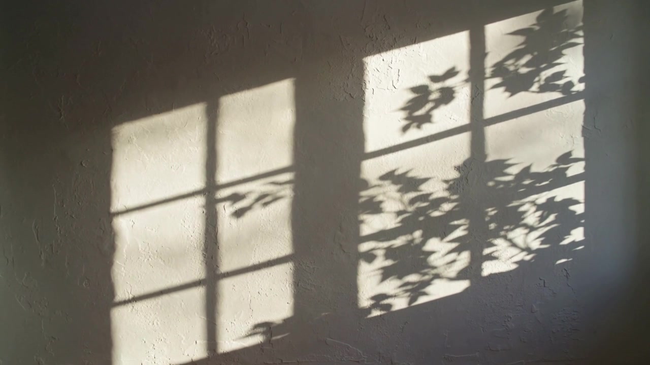 Sunlight casting window grid shadow shifting across plaster wall in room while breeze moving leaves
